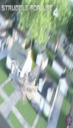 struggle-for-life4-1 – copia